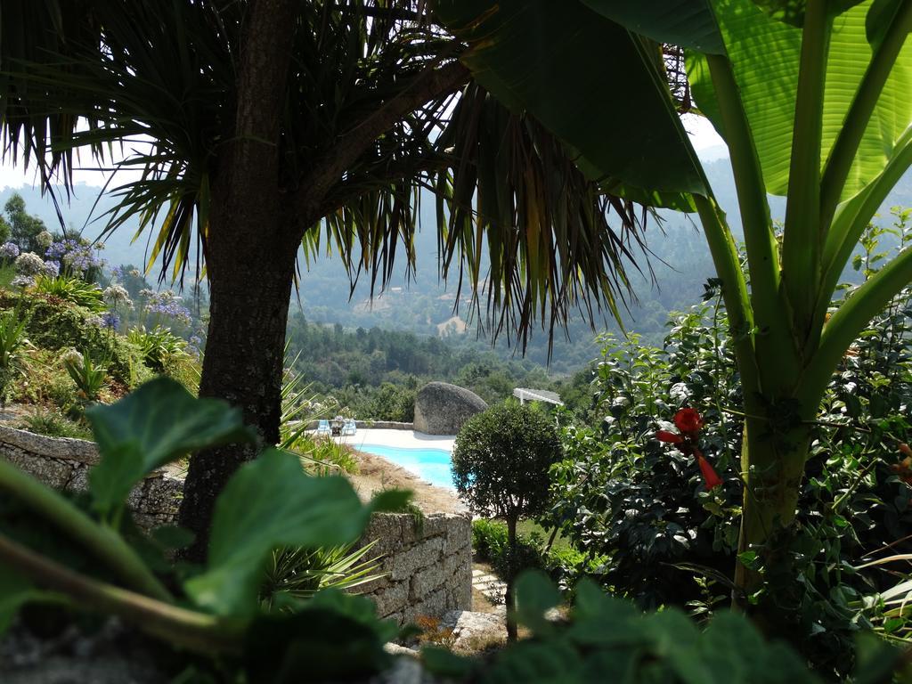 Villa Quinta Cercas Da Costa Vieira do Minho Habitación foto